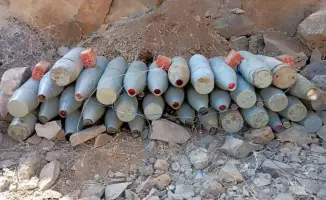 Кто разминировал Голанские высоты? Казахстанские миротворцы!