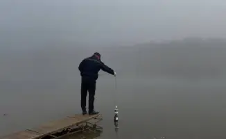 Результаты инспекционной деятельности в Казахстане за 10 месяцев 2025 года