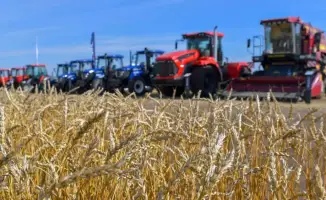 Рост сельского хозяйства на 6,1% в растениеводстве и животноводстве