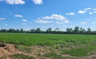 Дроны и ИИ: урожай на высоте с AgroSky!