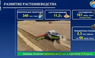 Северо-Казахстанская область: новый виток развития под крылом акима
