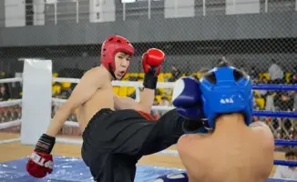 Кикбоксинг в Астане: 278 спортсменов, одна цель!