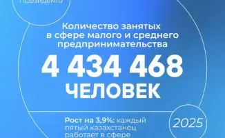 Каждый пятый казахстанец трудится в малом и среднем бизнесе, который составляет почти 40% валовой добавленной стоимости экономики