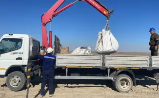 В Атырауской области ТОО 'Karabatan Utility Solutions' нарушило экологическое законодательство, сбрасывая сточные воды без разрешения