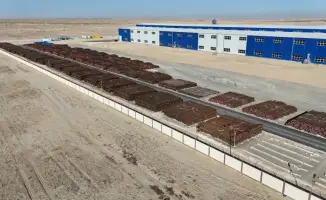 Рост объёма торговли в Мангистауской области на 108 процентов в 2023 году