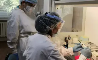 Успехи в лечении ВИЧ в Казахстане: снижение заболеваемости и смертности благодаря эффективной терапии