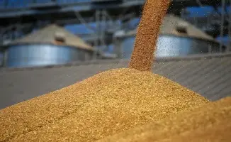 Казахстан наращивает объемы экспорта зерна