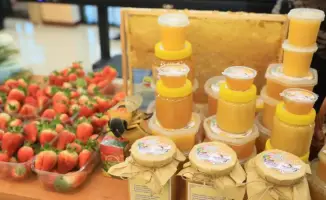 Фермерские империи Актюбинской области: результаты программы «Ауыл аманаты»