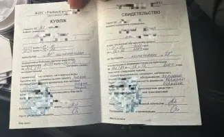 В Актюбинской области выявлены случаи мошенничества с оформлением страховых полисов