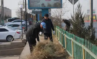 МЕЖДУНАРОДНОЕ СОТРУДНИЧЕСТВО В ЭКОЛОГИЧЕСКИХ АКЦИЯХ: ПРИМЕР САРЫАГАША