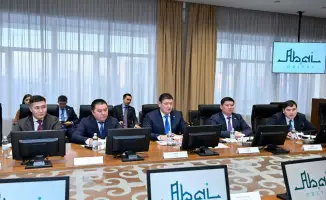 Инвестиции индийских компаний в ферросилицийные заводы Абайской области