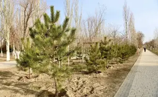 Новый парк: от оазиса до спортивного рая!