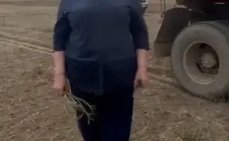 Светлана Орехова: наследие профессионализма и влияние на будущее агрономии