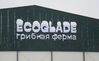 Крупнейшая грибная ферма в Казахстане: инвестиции и планы на будущее