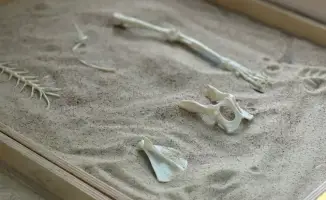 Семинар «В мире профессий» прошел в Астане