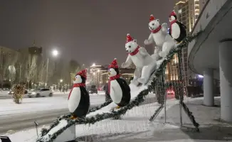 Участие жителей в озеленении и благоустройстве: более 202 тысяч растений высажено в районе Есиль