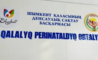 700 грамм жизни: битва врачей за малыша