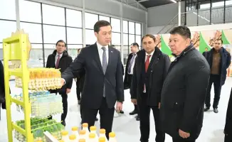 Кызылорда: новая зона для старта бизнес-идей!