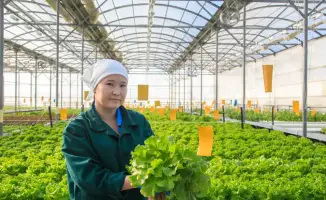 Рост производства в малом и среднем бизнесе Жетісу на 15,2% способствует экономическому развитию региона