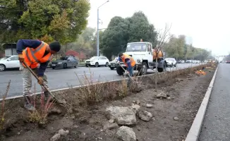 Влияние комплексного благоустройства 11 улиц Алматы на безопасность и комфорт горожан