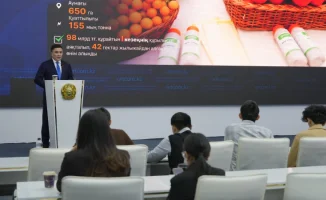 Экономика Шымкента: Рост на 14,8% за 10 месяцев 2023 года