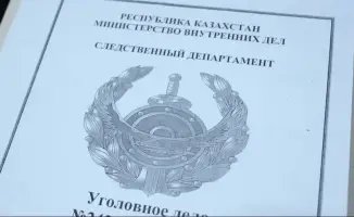 Кто стоит за цифрами: битва с преступностью в Казахстане?