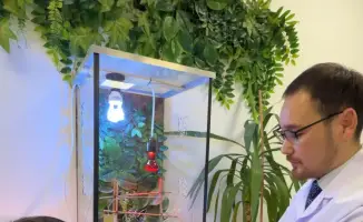 В столичной школе «Келешек мектебi» открылся кабинет, где природа становится учителем