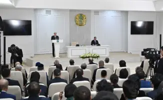 Достижения Жамбылской области: взгляд Главы государства