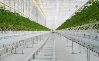 Депутаты Сената РК ознакомились с агропромышленными проектами в Туркестанской области