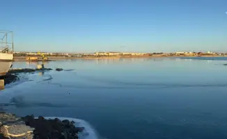 Очистка озера Балхаш началась в Караганде