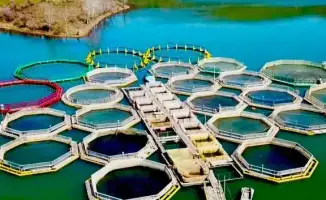 Особый порядок закрепления участков рыбохозяйственных водоемов международного или республиканского значения для осуществления садковой хозяйственной деятельности