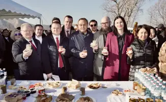 Мичуринский сад в Казахстане международный проект интенсивного садоводства