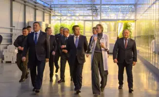 Запуск завода по производству сгущенного молока в СКО: инвестиции и использование местного сырья