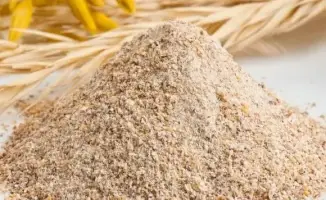 Кормовая мука отправилась в Китай: экспортный мост через Продкорпорацию