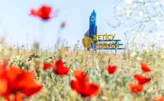 Откройте новые горизонты: отдых на Алаколе и Балхаше!