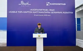 Цех по производству картонной упаковки в Семее с инвестициями 6 млрд тенге