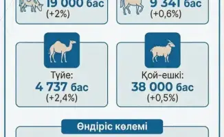В Махамбетском районе посевные площади достигли 5 тыс. гектаров, урожай картофеля составил 3,7 тыс. тонн