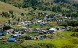 Туркестанская область: оазис гармонии без алкоголя