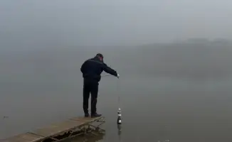 Экологическая инспекция: стражи природы на страже чистоты — результаты почти 900 проверок