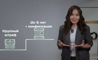 Автоматические решения в финансах: как кредиты и пирамиды разрушают наше благосостояние