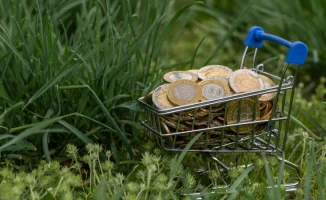 Триллион тенге в бюджет: Алматинская область поставила рекорд