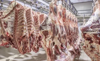 Казахстан ограничил вывоз говядины: министр объяснил меры для стабилизации рынка