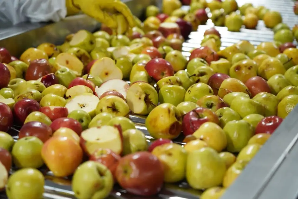 Завод по глубокой переработке фруктов и ягод запустили в Туркестанской области (5)