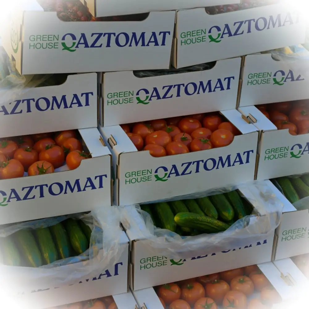 Аким области Асаин Байханов с рабочей поездкой посетил Экибастуз (6)