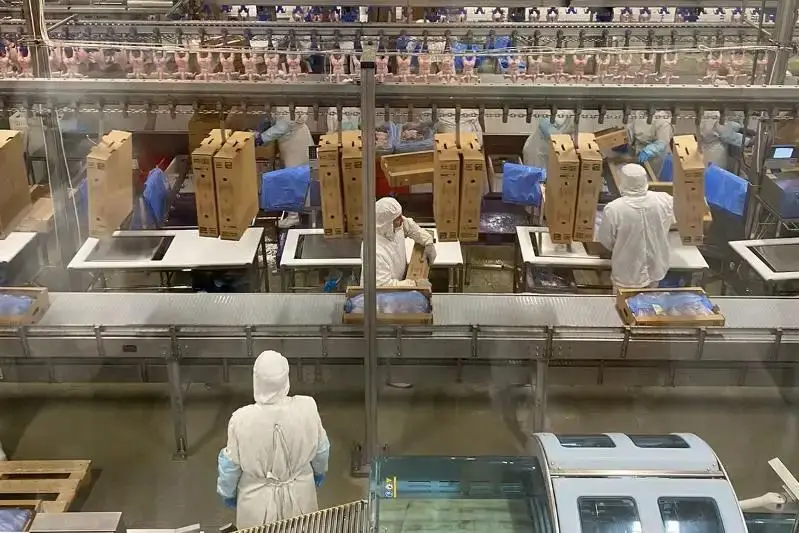 Макинская птицефабрика: надежность, высокое качество и развитие производства (2)