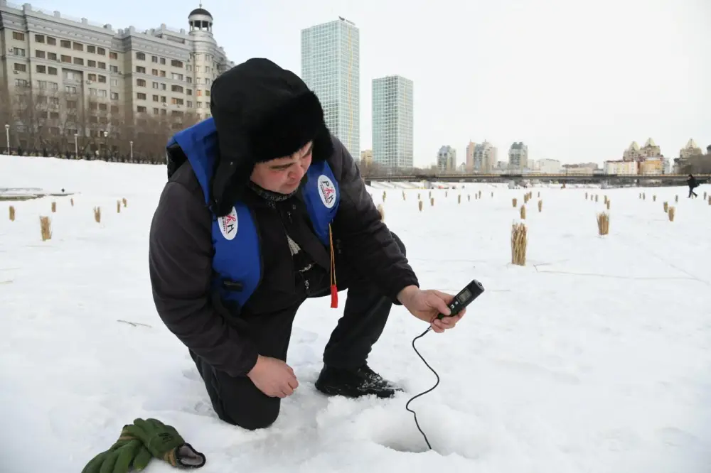 Работы по сохранению биоразнообразия в реке Есиль проводят в Астане (5)