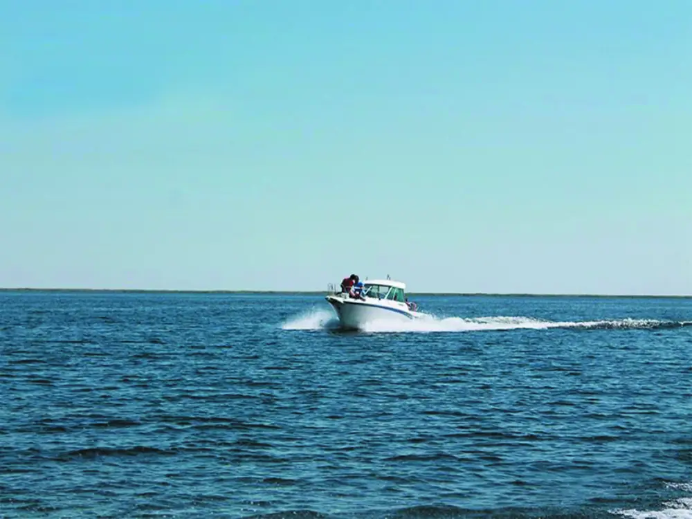 Туризм в Жетісу: до летнего сезона этого года на побережье Балхаша появятся два коммунальных пляжа (7)
