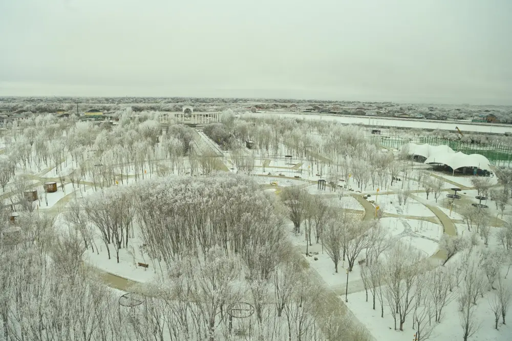 Делегация Актюбинской области прибыла в Кызылординскую область (10)