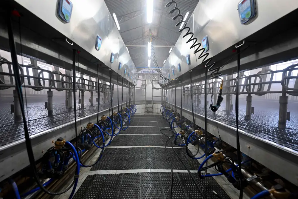 Аким области ознакомился с деятельностью крестьянских хозяйств в Бескарагайском районе (4)