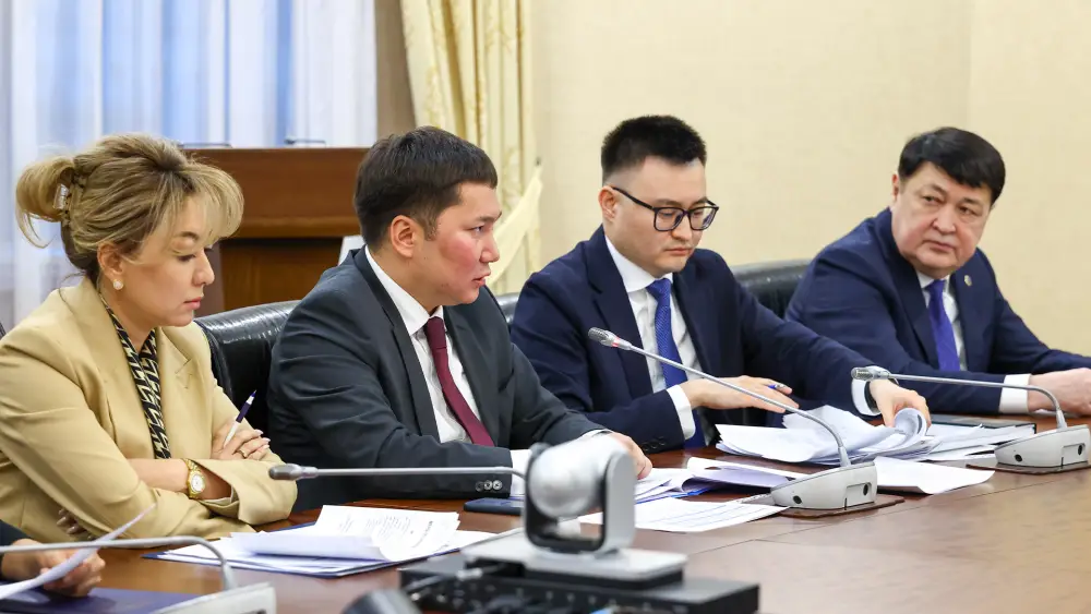 В Казахстане создадут цифровую платформу аналитики данных для борьбы с теневой экономикой (2)